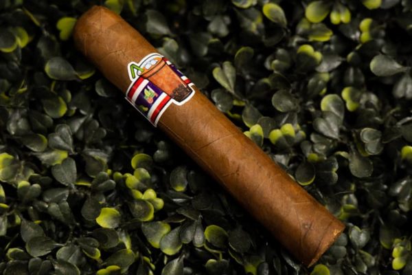 Thai Tea Limited Edition 2020 Single