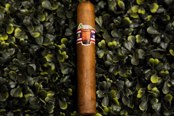 Thai Tea Limited Edition 2020 Single - Image 2
